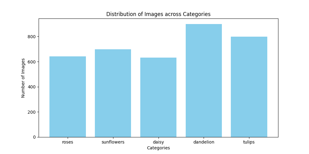 Class Distribution